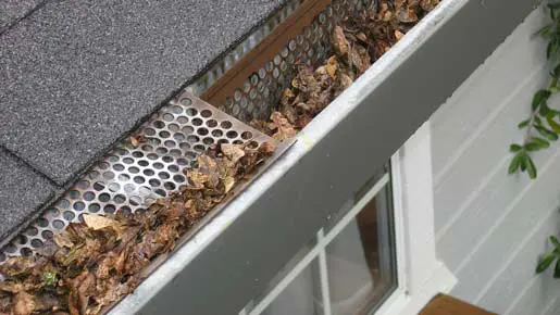 Så här rensar du dina hängrännor och stuprör