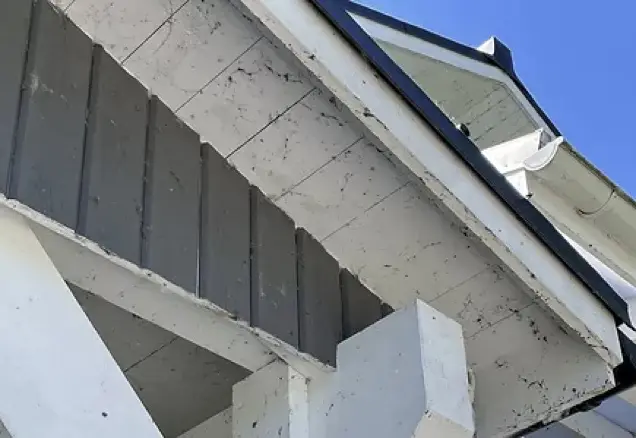 Spindelnät i taket vill du bekämpa med taktvätt