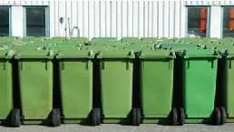 Massor av sopkärl som står på rad
