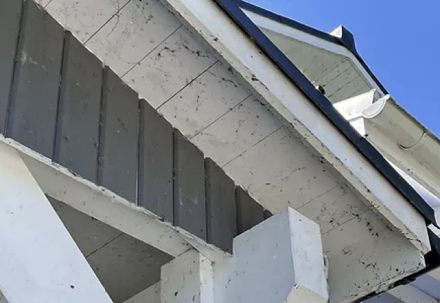 Spindelnät i taket vill du bekämpa med taktvätt