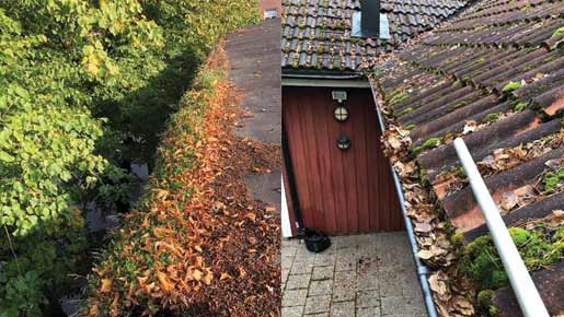 Hängrännor och tak med påväxt och löv